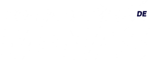 Portal Folha de Pará de Minas